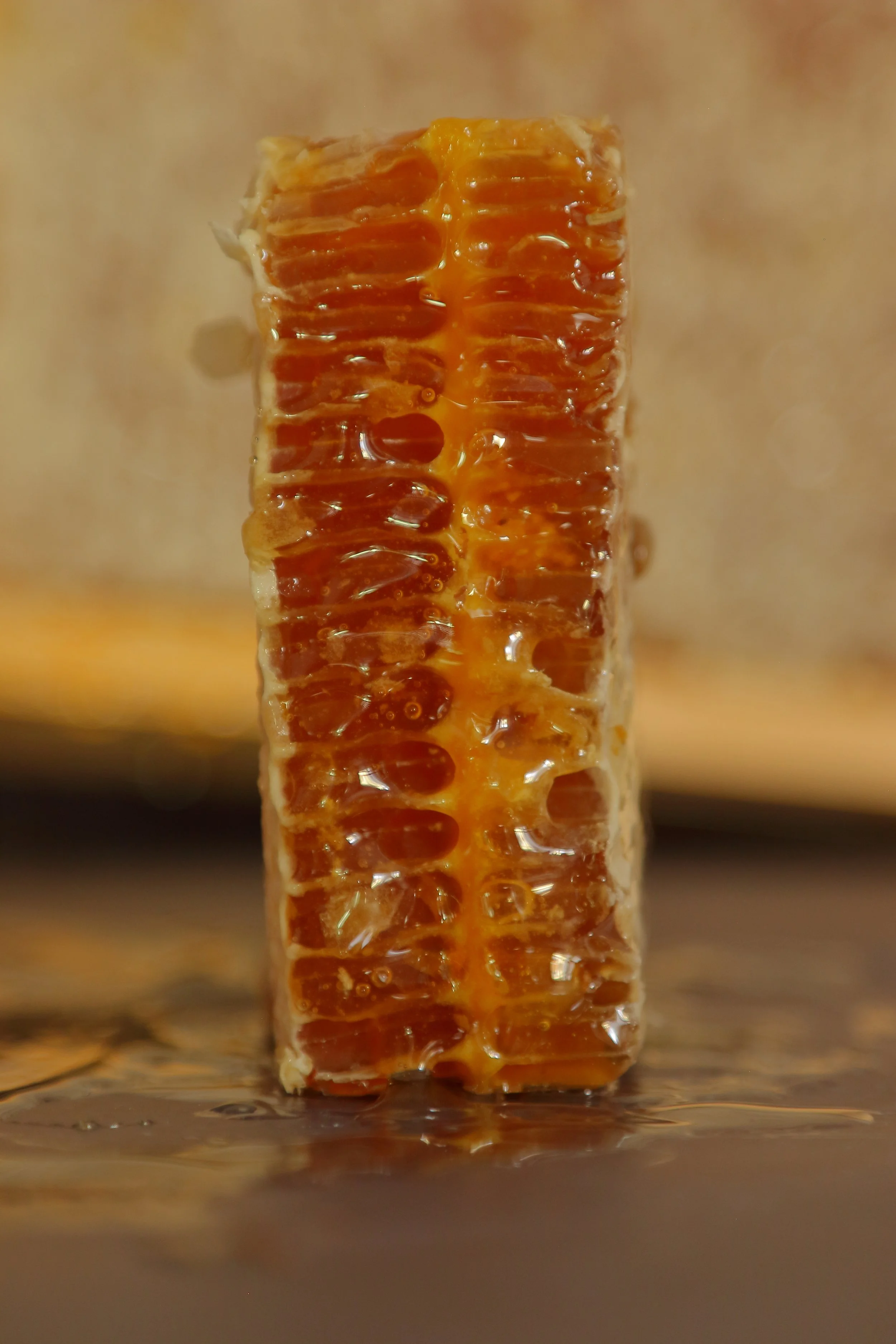 Miel en Panal vertical.JPG