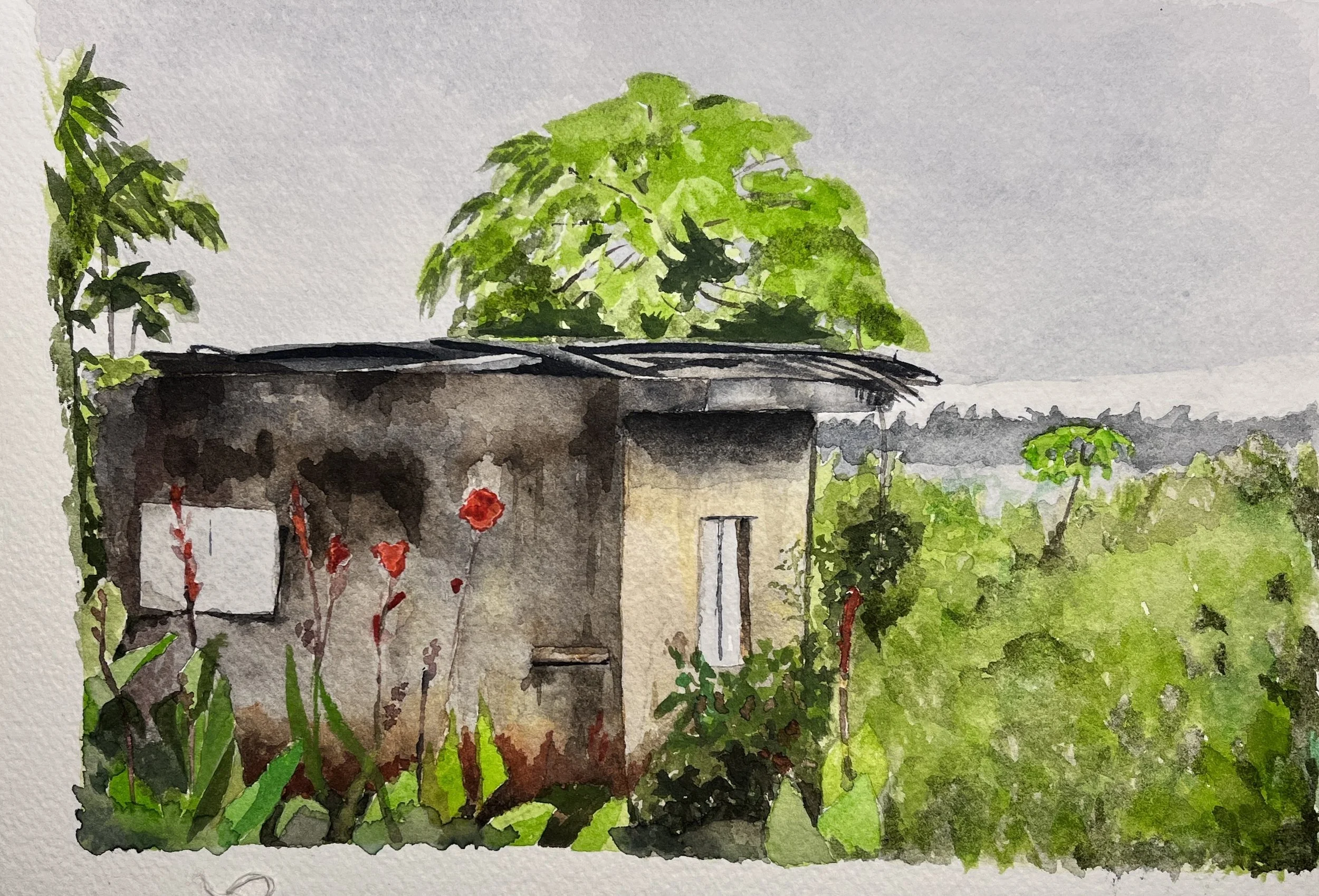 Suivez-moi à la découverte de Maurice