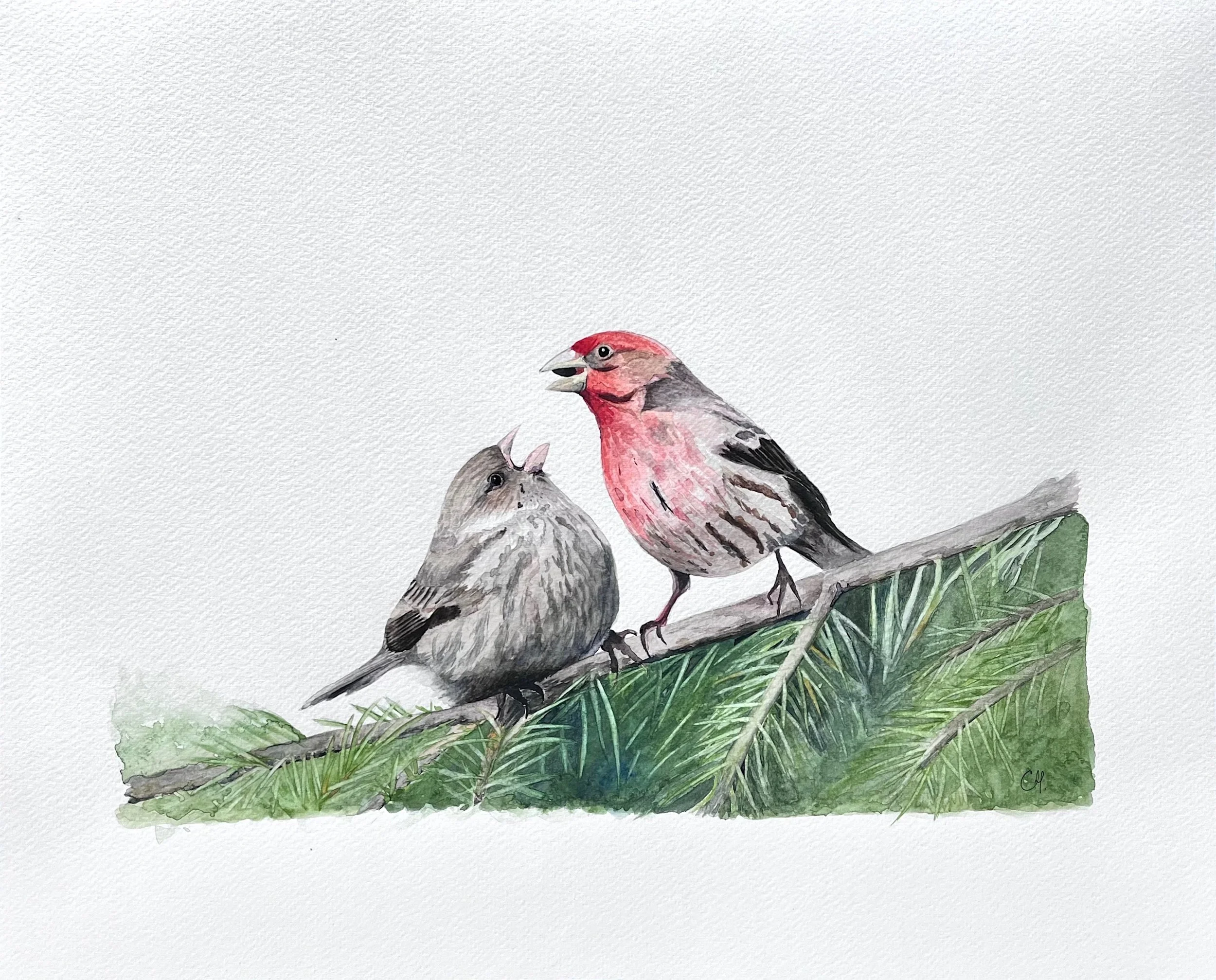 2024 - SCA, 4e Biennale Internationale, Cascade de couleurs