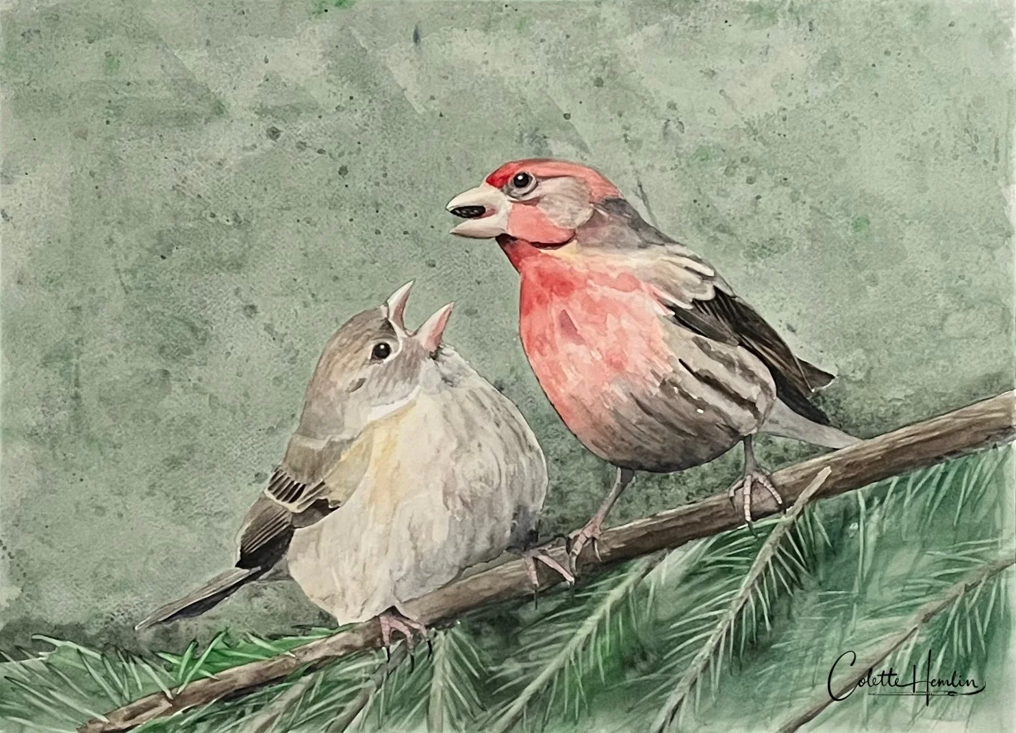 "La becquée". Aquarelle. Fabriano Deserres 300g, 25% coton, 22 x 16,5 po (56 x 42 cm) Mai2026 ---------- 2026-32