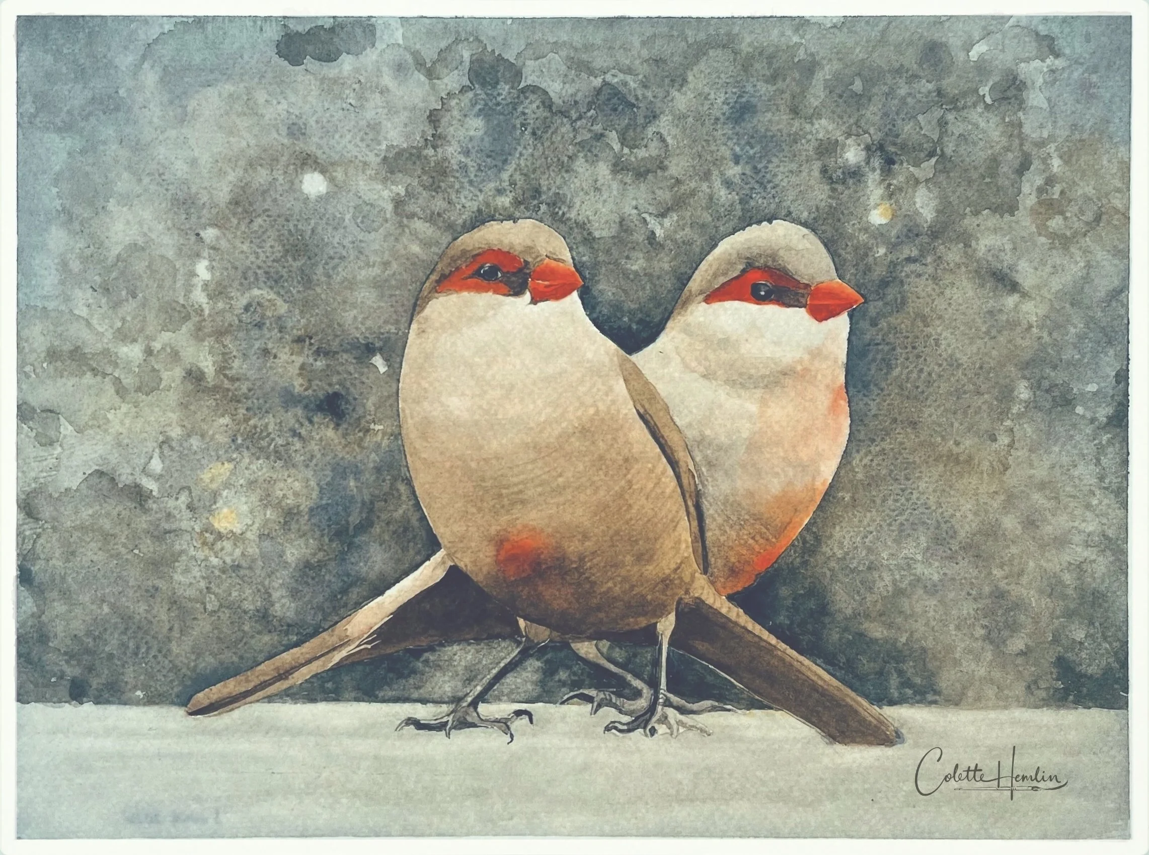 "Astrilds ondulés (bengalis)". Aquarelle, papier Fabriano Artistico 300g 100% coton 9 x 12 po (23 x 31 cm) Mars 2026 ---------- 2026-24