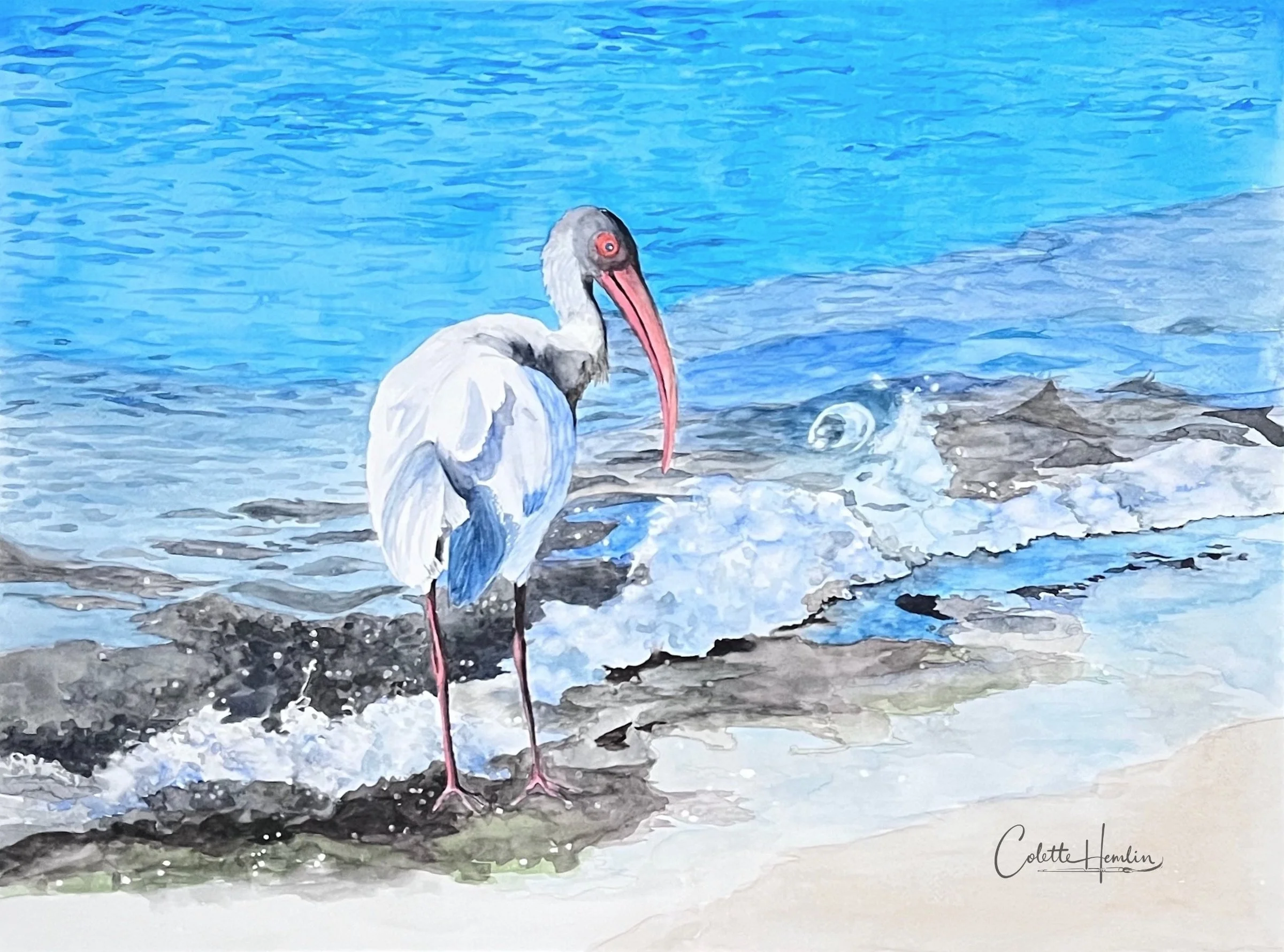 "Ibis à la mer", 2025