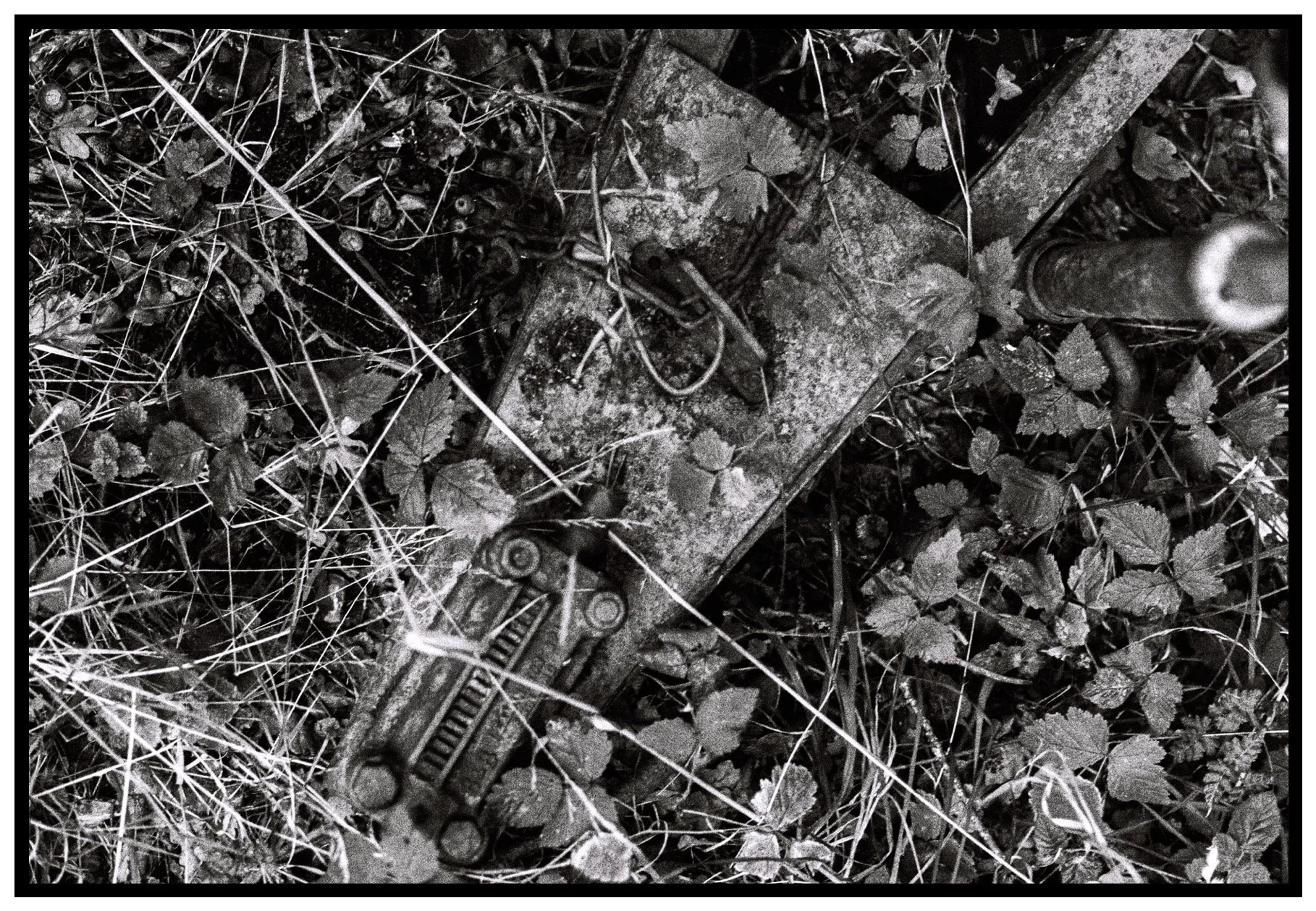 Black and white photo of an old, rusty train wreckage partially hidden in overgrown grass and plants.