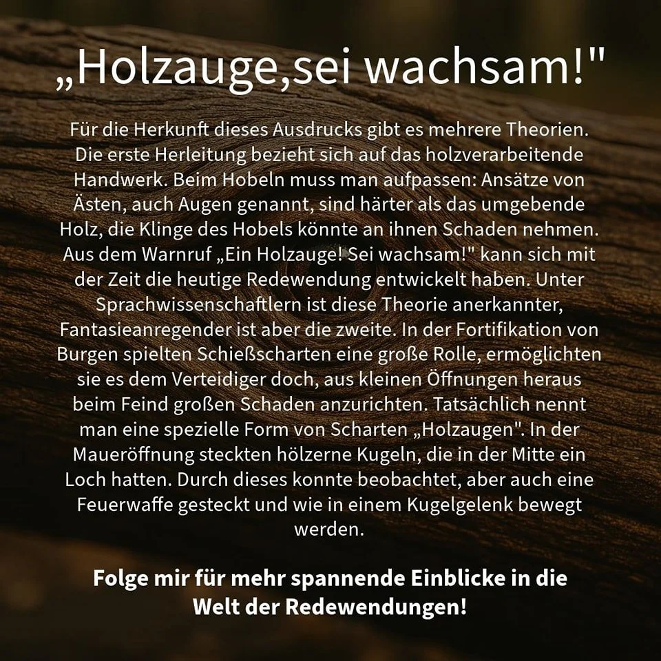 Vorsicht beim Hobeln! Ein Holzauge kann die Klinge besch&auml;digen. Oder stammt die Redewendung doch von den Schie&szlig;scharten der Burgen?

#holzauge  #Redewendung #Sprichwort #Handwerk #Mittelalter #Burg #Geschichte #Sprache #Redewendungen #Gesc