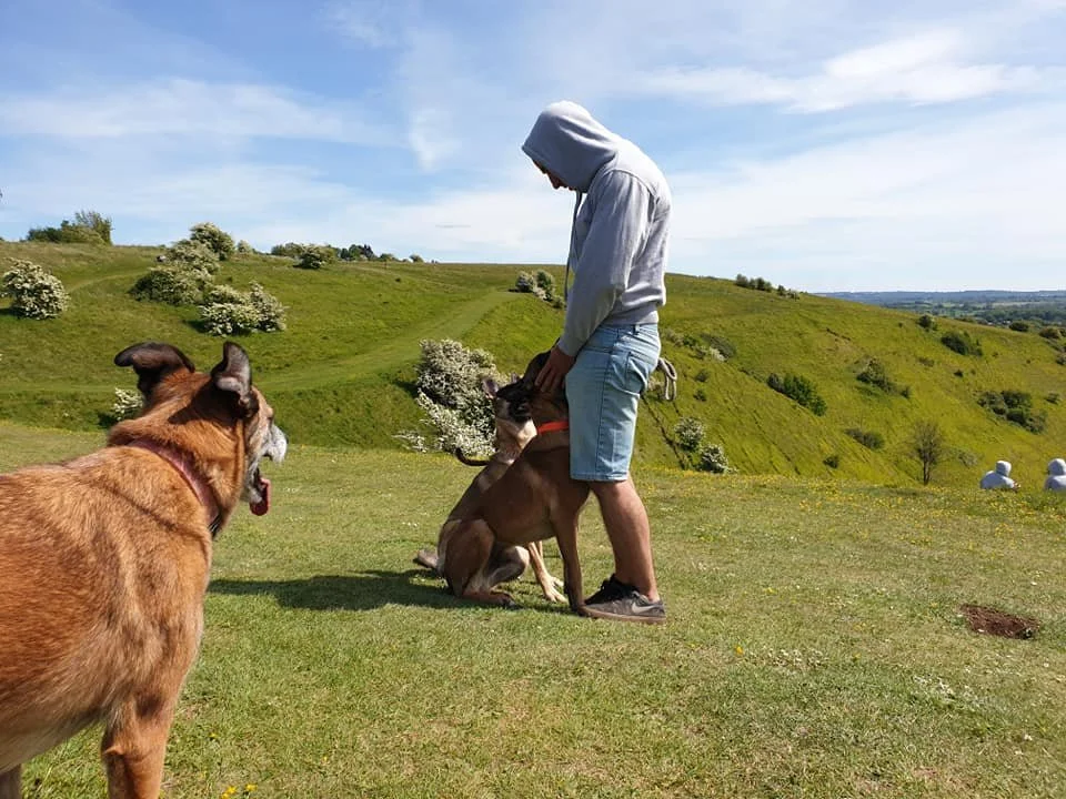 A person in casual clothing and a hoodie interacts with a dog on a grassy hill under a partly cloudy sky. Another dog watches nearby, and there are distant rolling hills and trees.