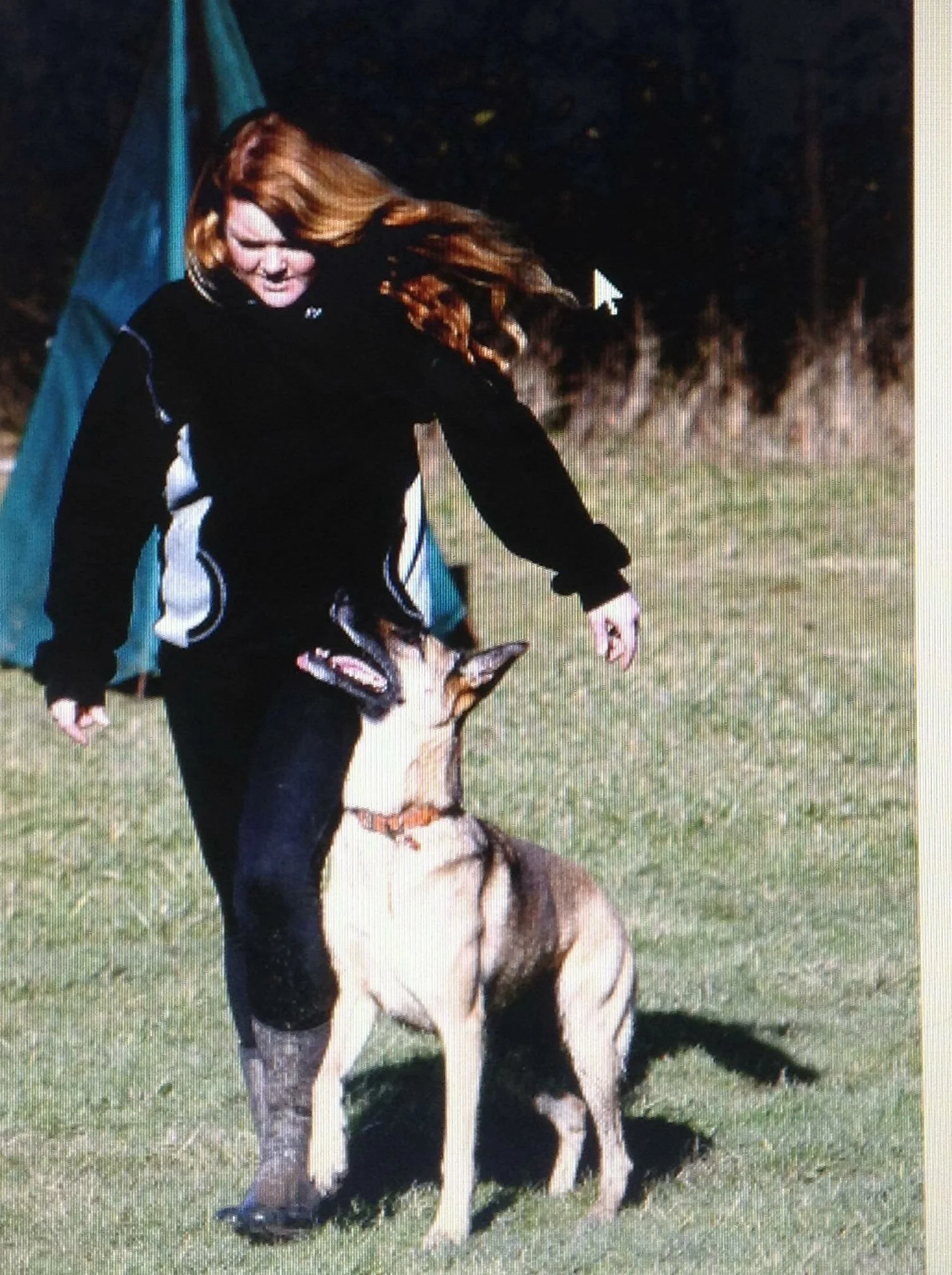 Woman with long red hair training a German Shepherd dog outdoors on a grassy field for a competitive dog sport.