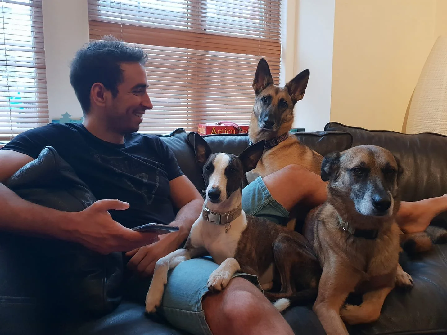 A man sitting on a dark brown leather couch, smiling at three dogs sitting on his lap and next to him.