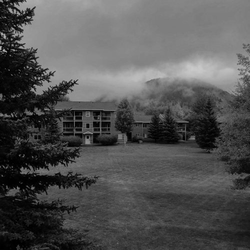 Foggy mountain lodge or apartment buildings surrounded by trees in a black and white outdoor scene.