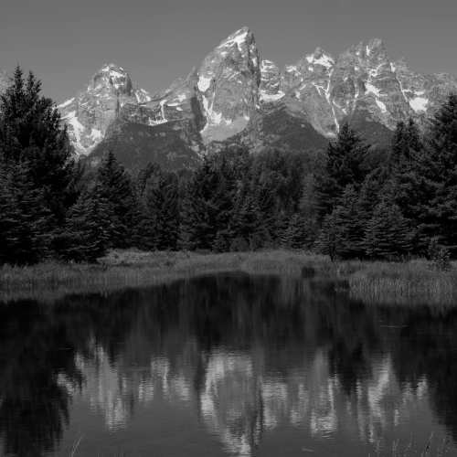 Black and white landscape of the Grand Teton mountains reflected in a calm lake surrounded by pine trees.