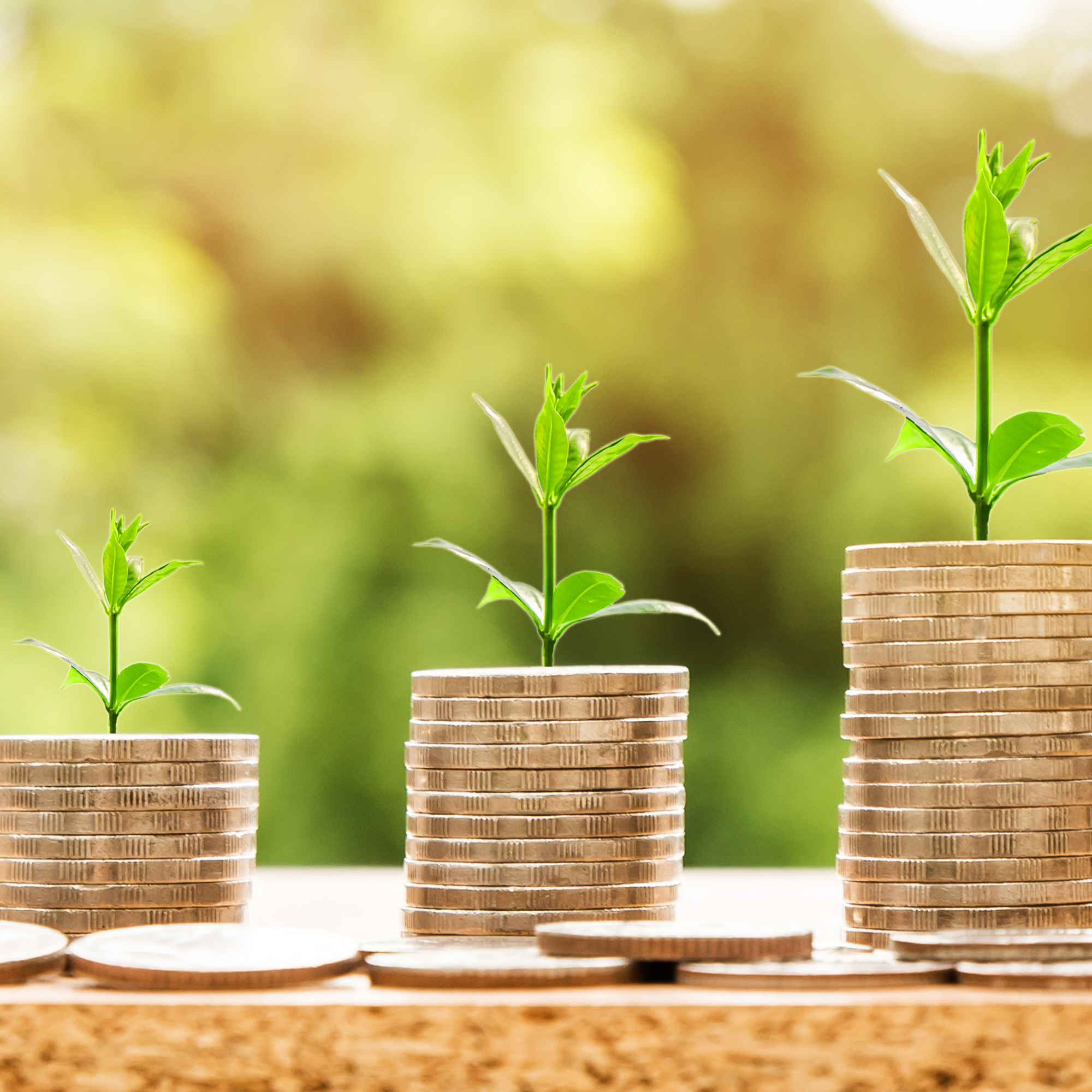 Three stacks of coins with small green plants growing from each stack, arranged from smallest to largest. The background is blurred with natural green and yellow tones.