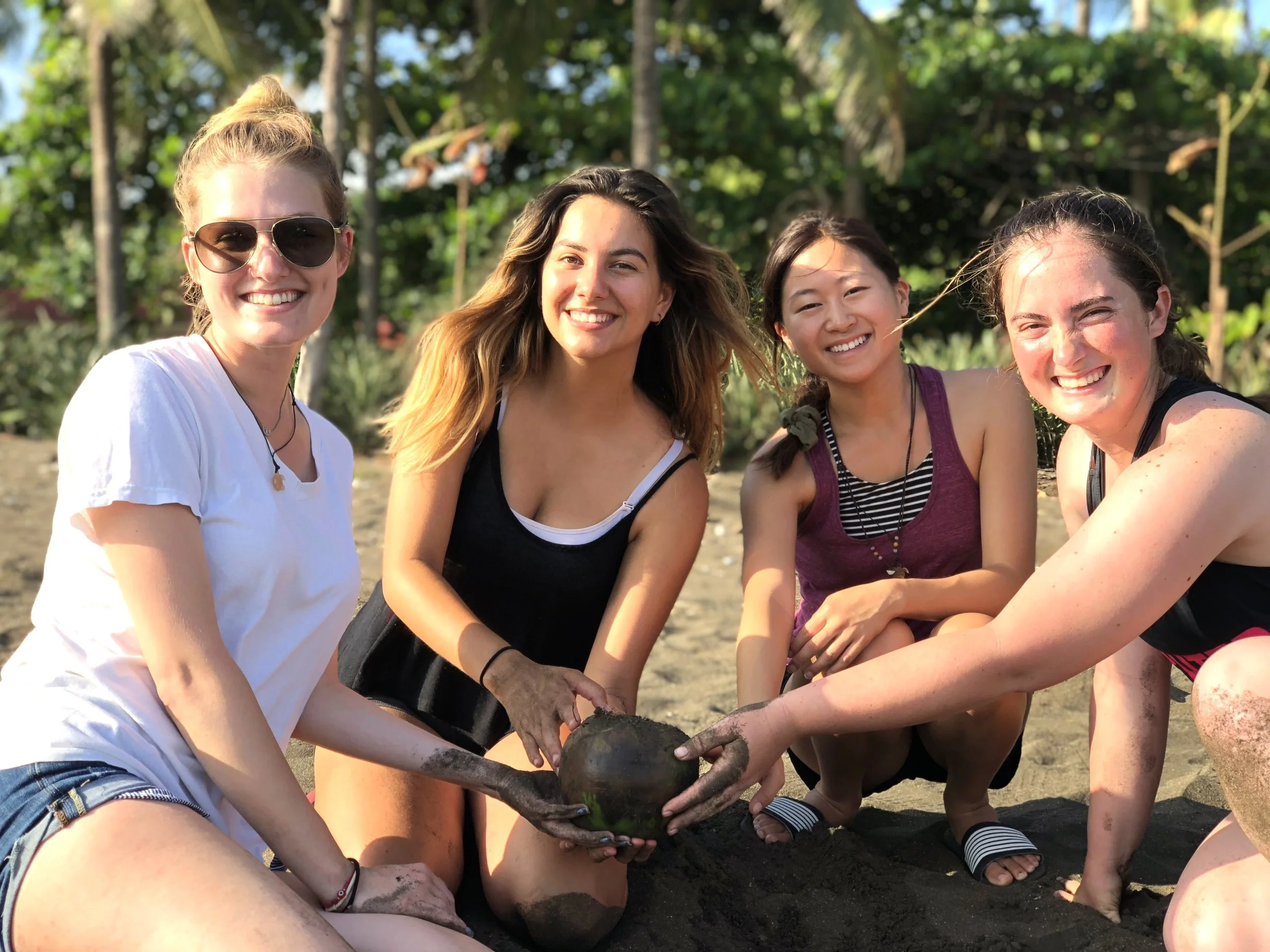 12 Day Sea Turtle Field Course
