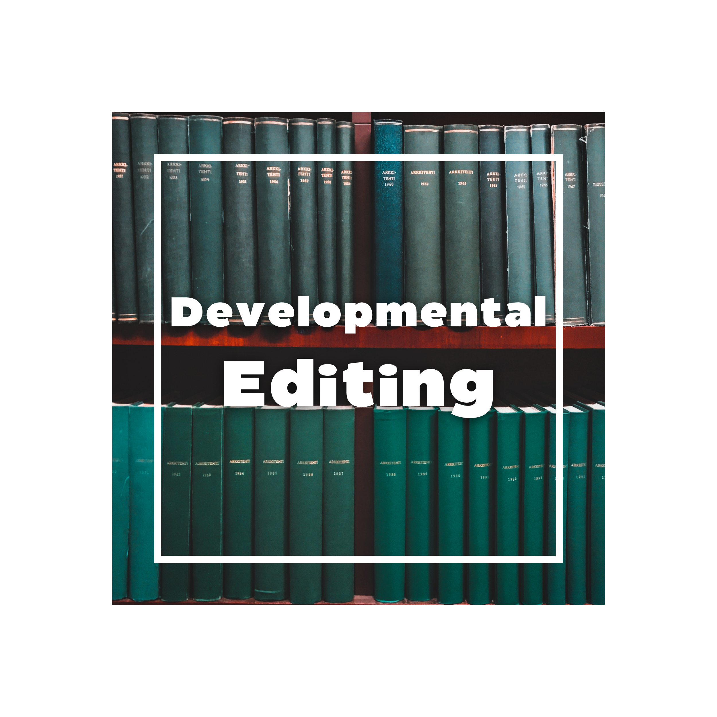 Developmental Editing