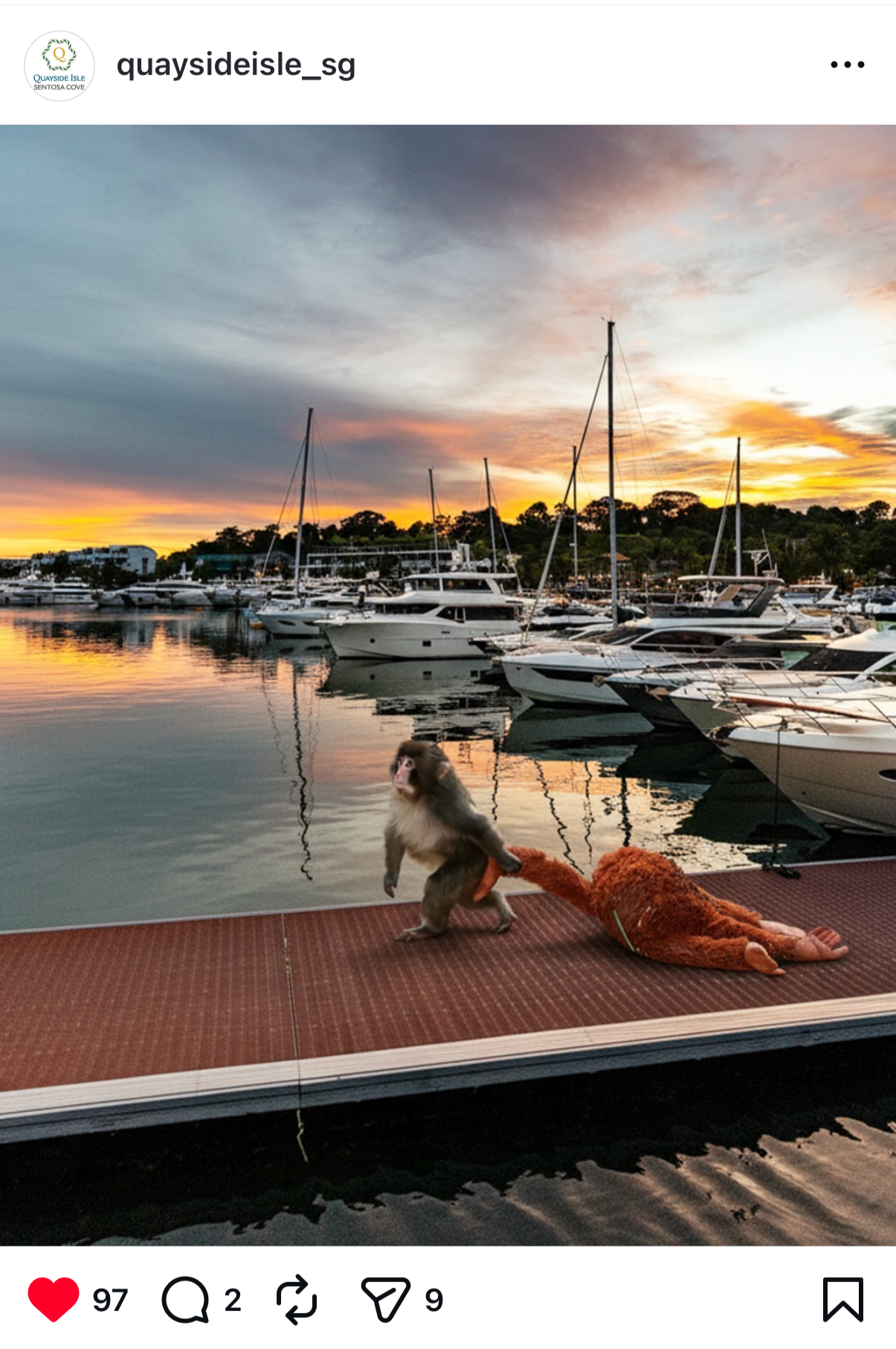 Known for its marina views and pet-friendly environment, Quayside Isle joined in on the Punch the Monkey trend, priding itself as a sanctuary for the chimp.