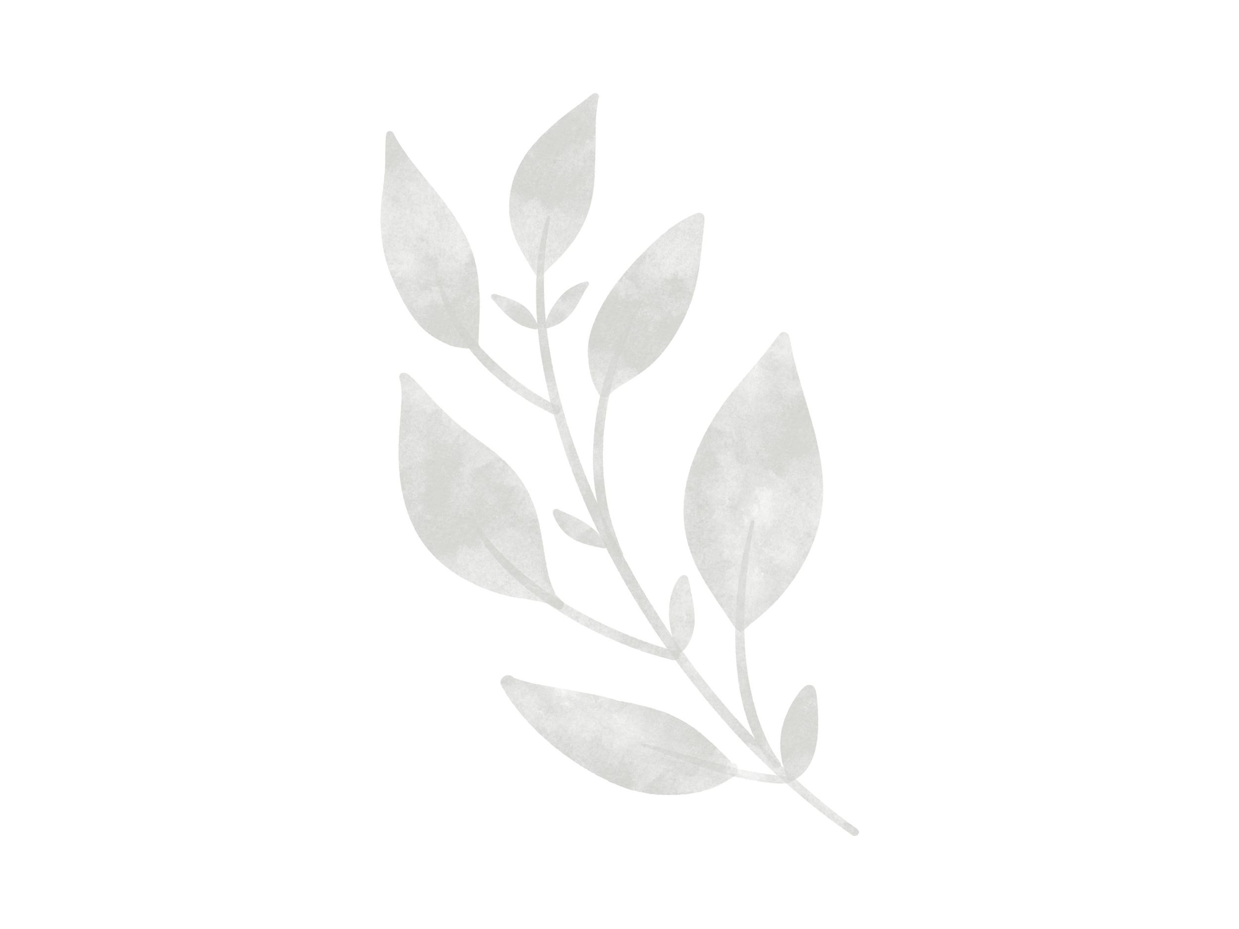 Gray watercolor-style illustration of a leafy branch with multiple leaves.