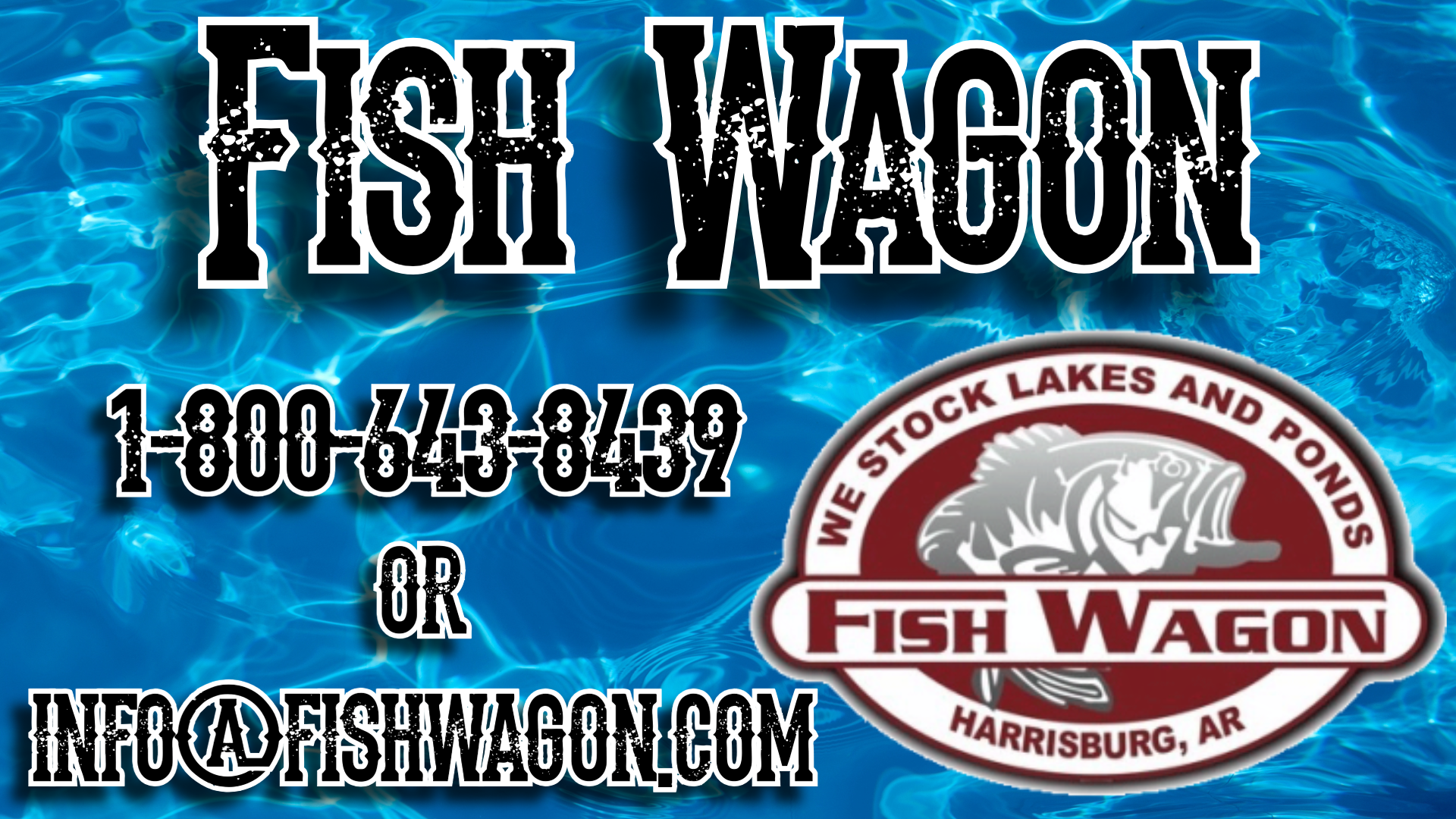 Fish Wagon 