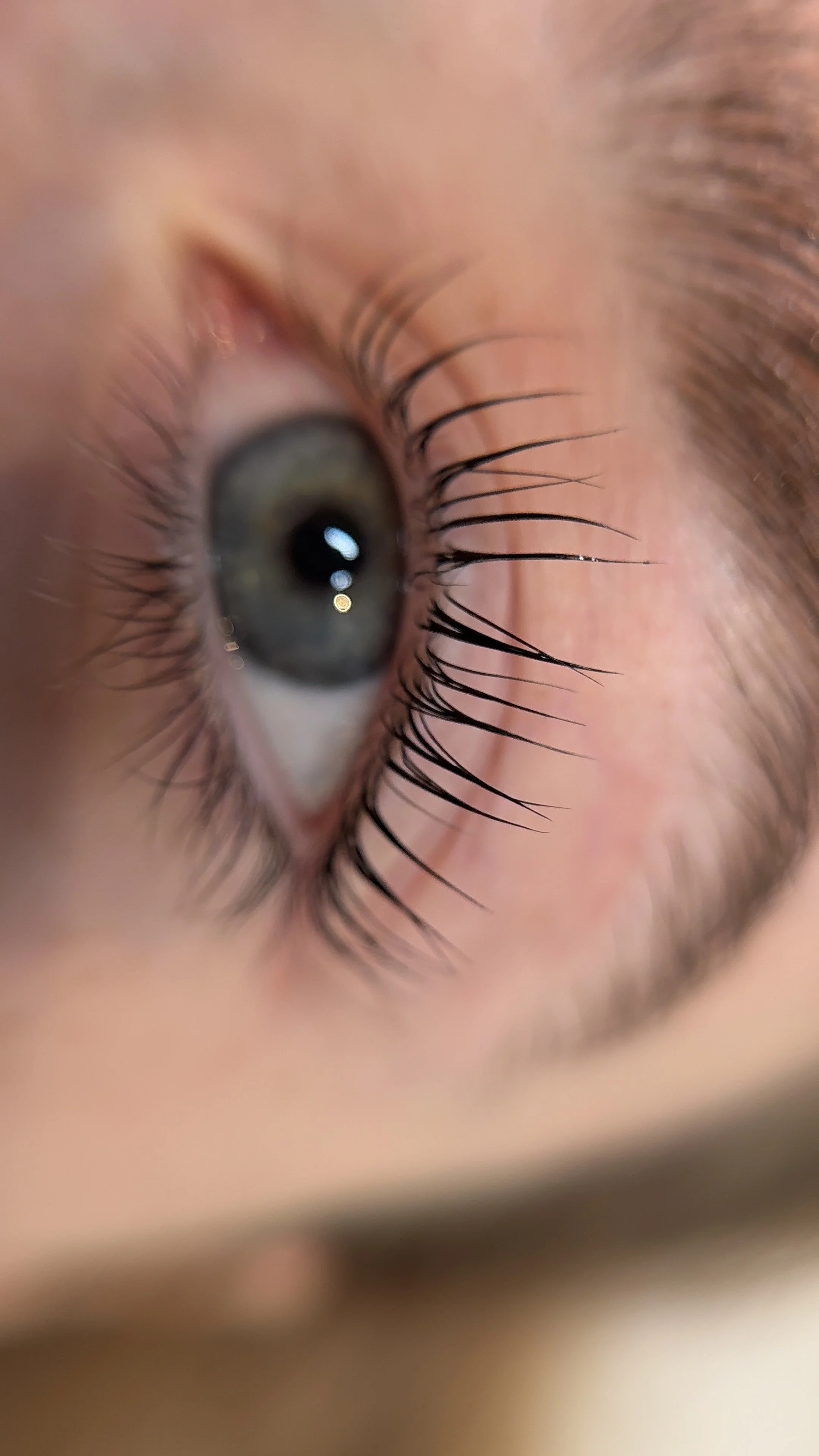 Close-up of a person's eye with visible eyelashes and eyebrow