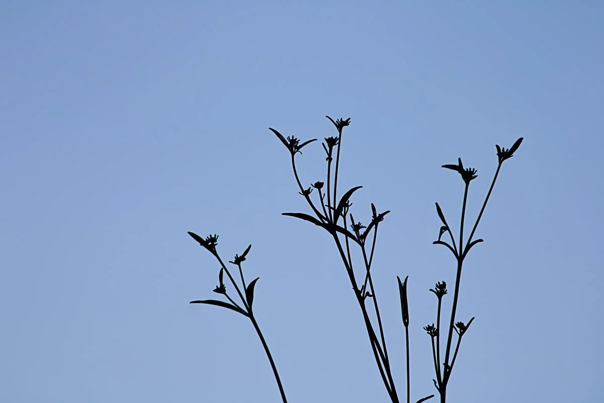 Prairie Oaks Metro Park - Aug 2025