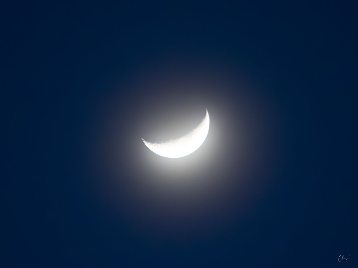 IMG_3699.jpg