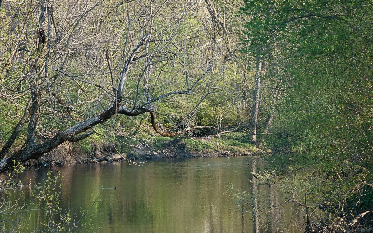 Three Creeks Metro Park - Apr 2026