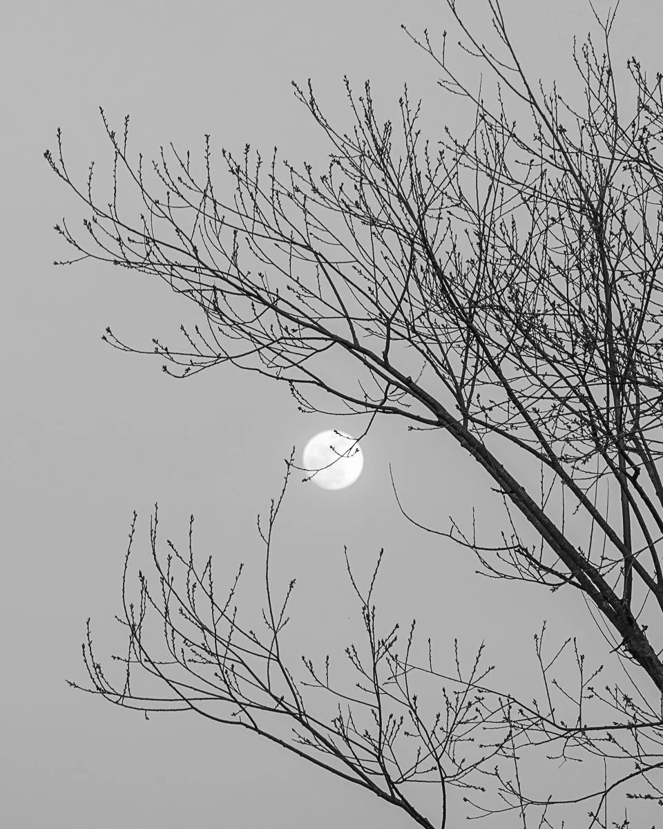 Prairie Oaks Metro Park - Mar 2026