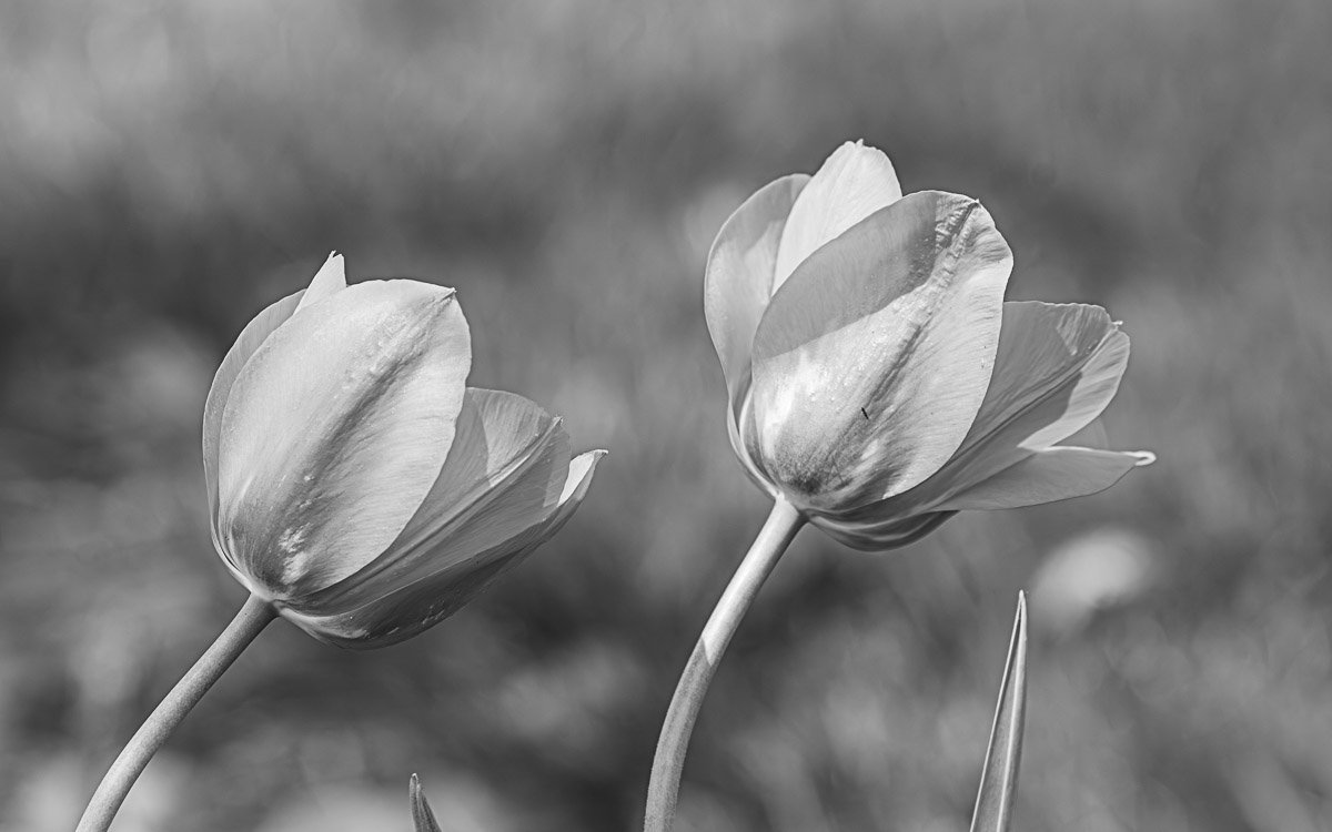 Broad & Westmoor, Columbus - Apr 2026