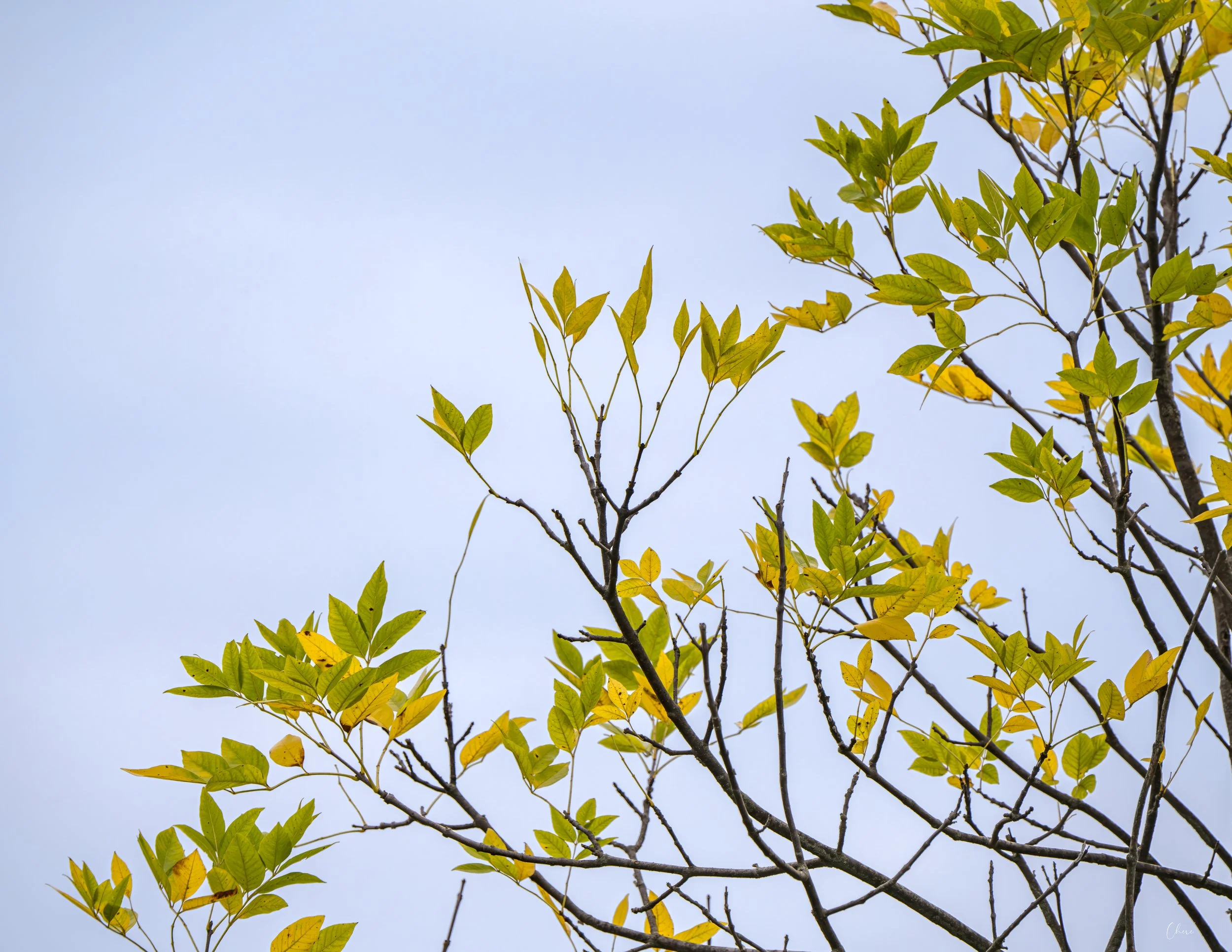 Prairie Oaks Metro Park - August 2026
