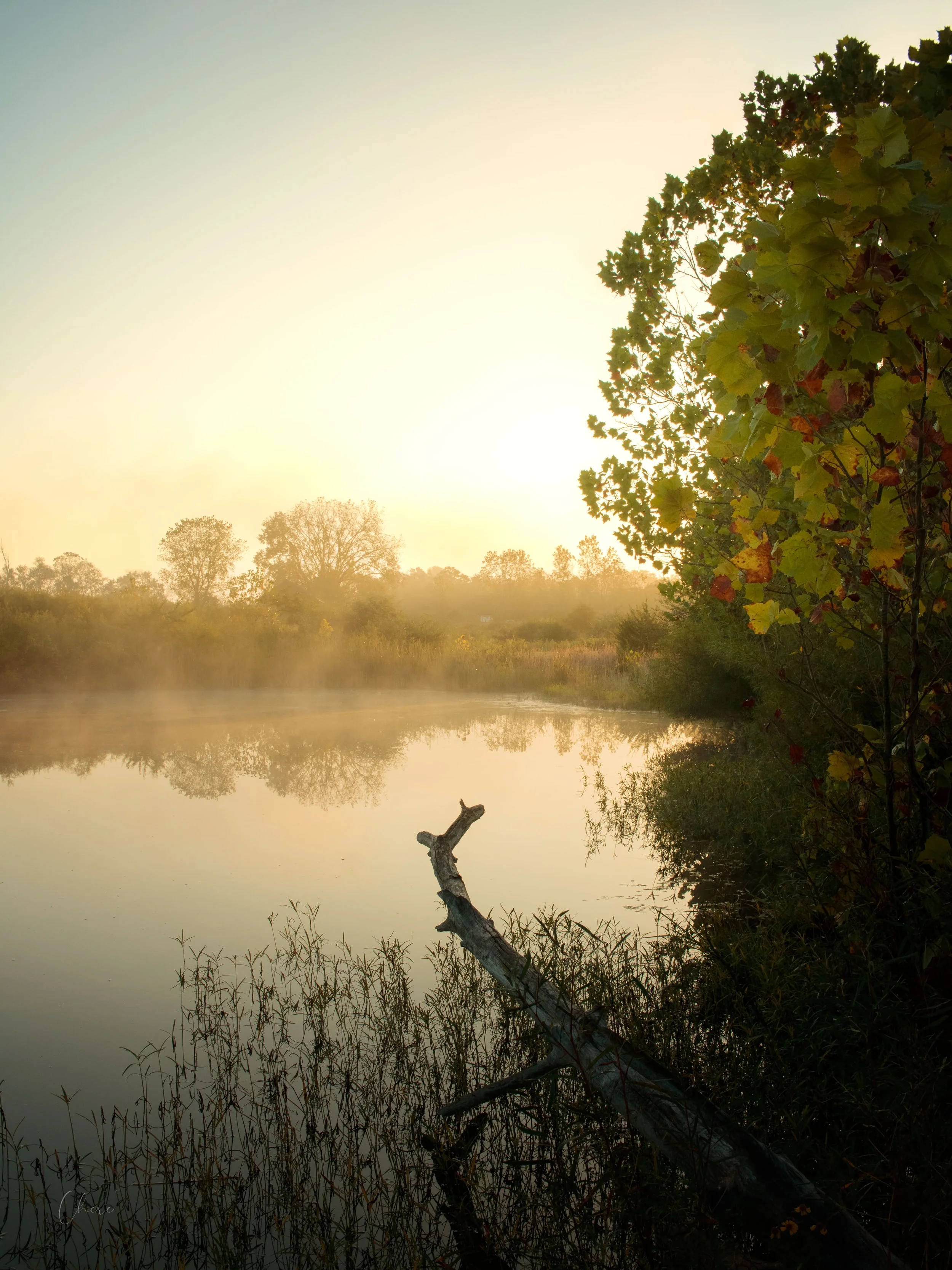 Light &amp; Mist