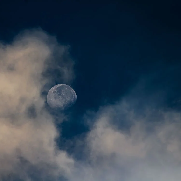 Dutiful Blue