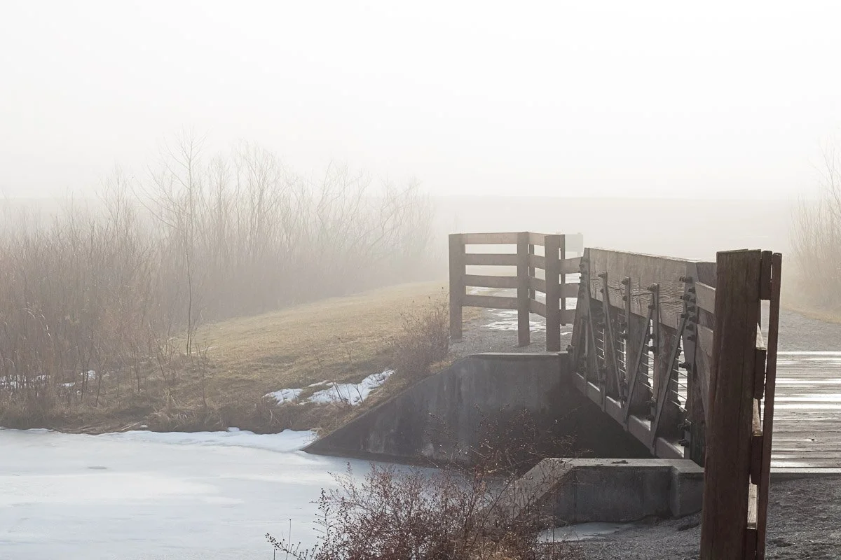 Prairie Oaks Metro Park, Darby Bend Lakes - Feb 2026