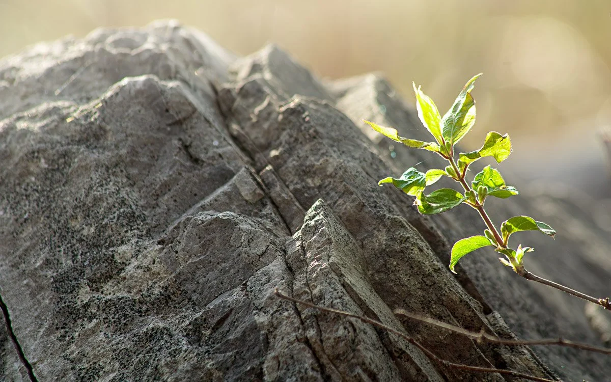 Prairie Oaks Metro Park, Darby Bend Lakes - Apr 2026