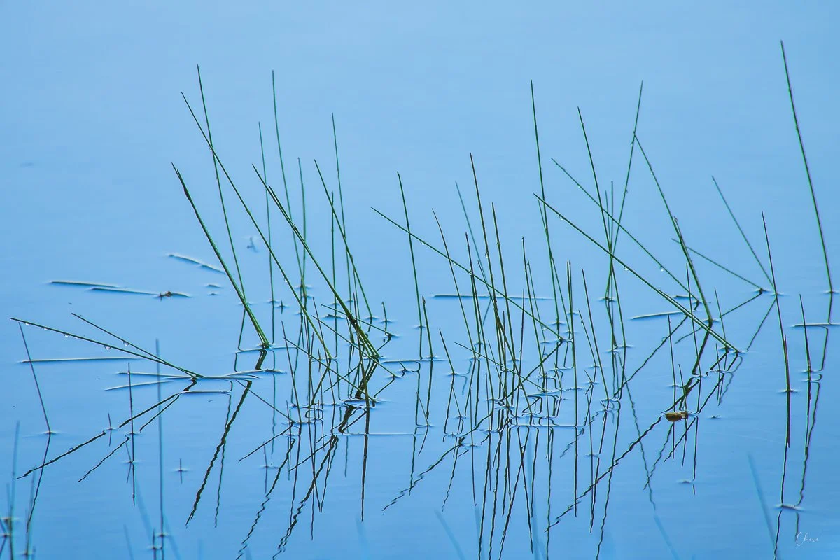 Prairie Oaks Metro Park, Darby Bend Lakes - Apr 2026