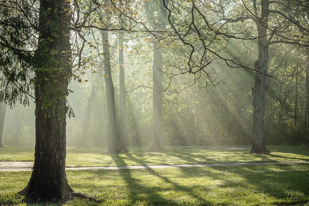 Scioto Grove Metro Park - Apr 2026