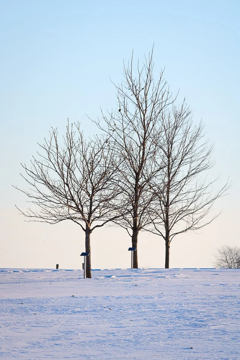 Plain City - Feb 2026