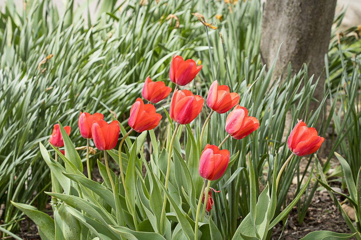 Broad & Westmoor, Columbus - Apr 2026