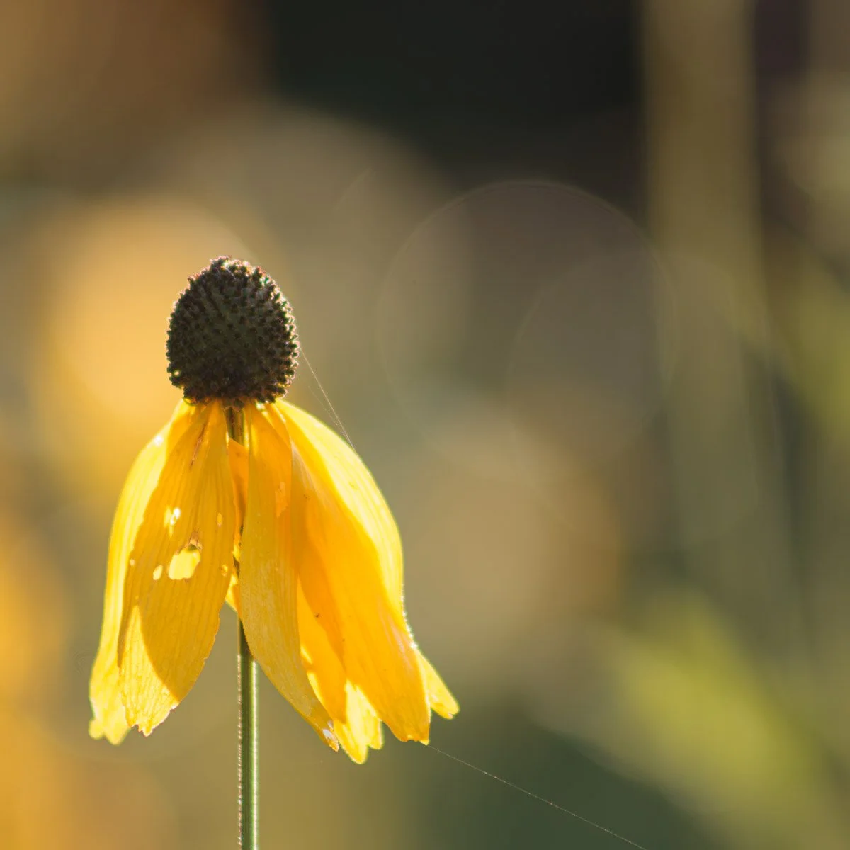 Prairie Oaks Metro Park - Aug 2025