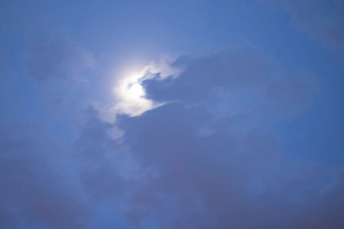 Hayden Run Falls - Mar 2026