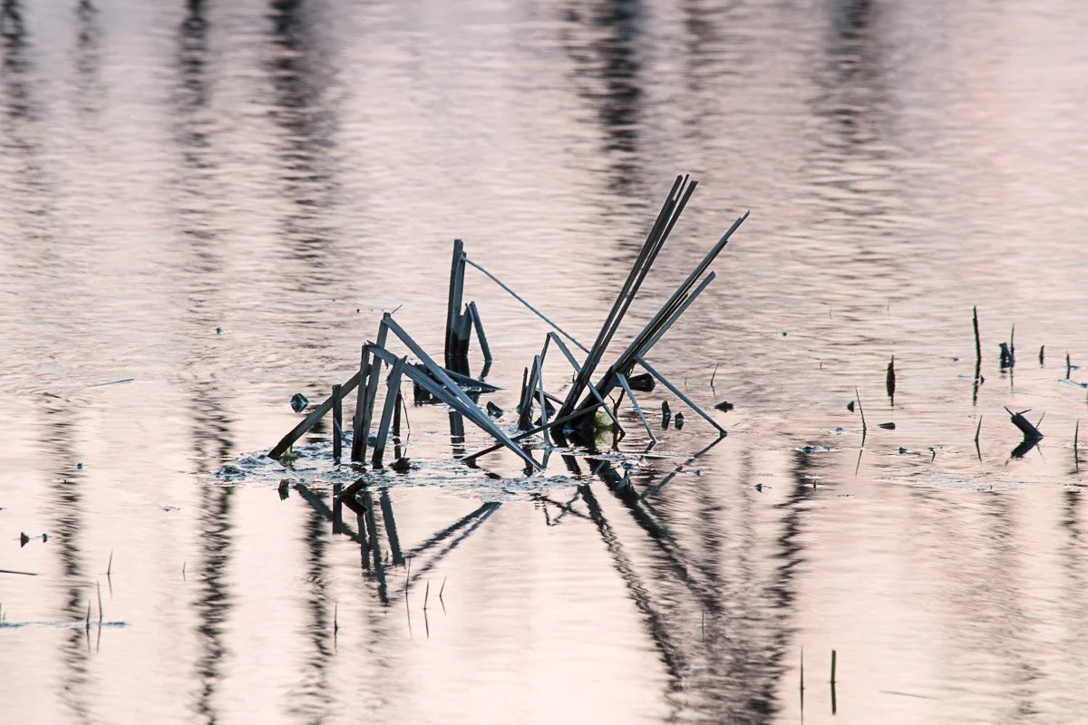 Prairie Oaks Metro Park - Mar 2026
