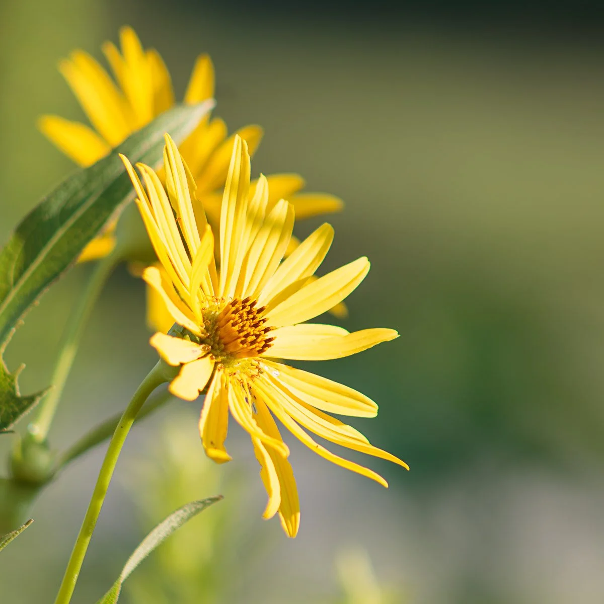 Prairie Oaks Metro Park - Aug 2025