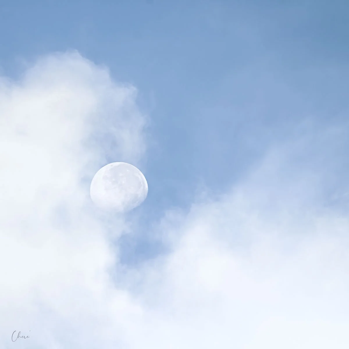 Dutiful Blue