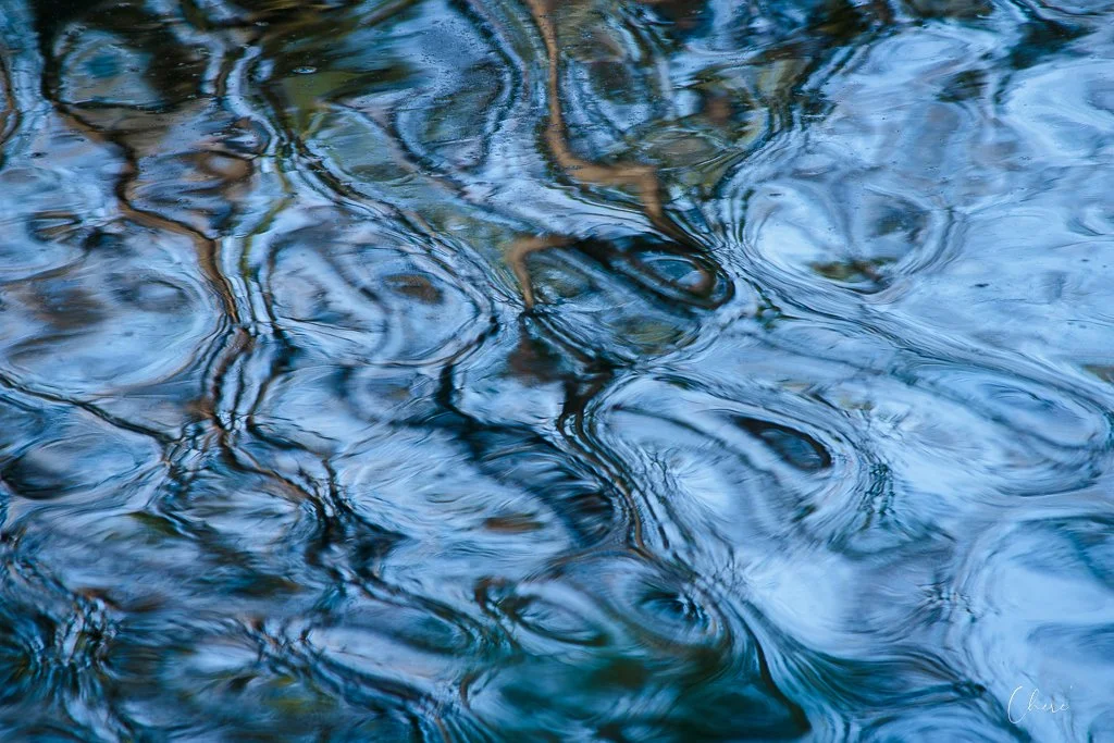 Three Creeks Metro Park - Apr 2026