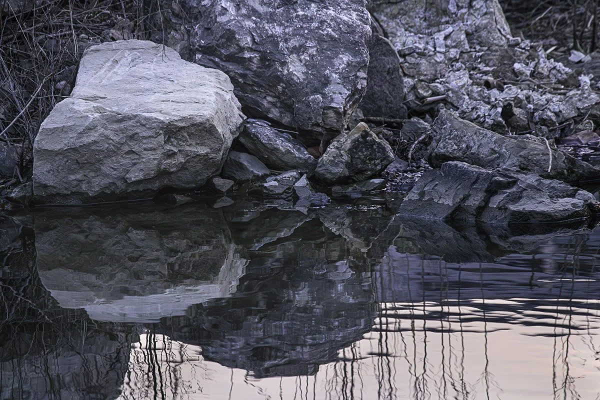 Quarry Trails Metro Park - Mar 2026