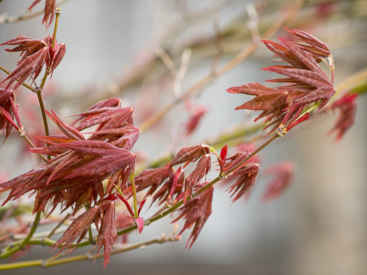 Broad & Westmoor, Columbus - Apr 2026