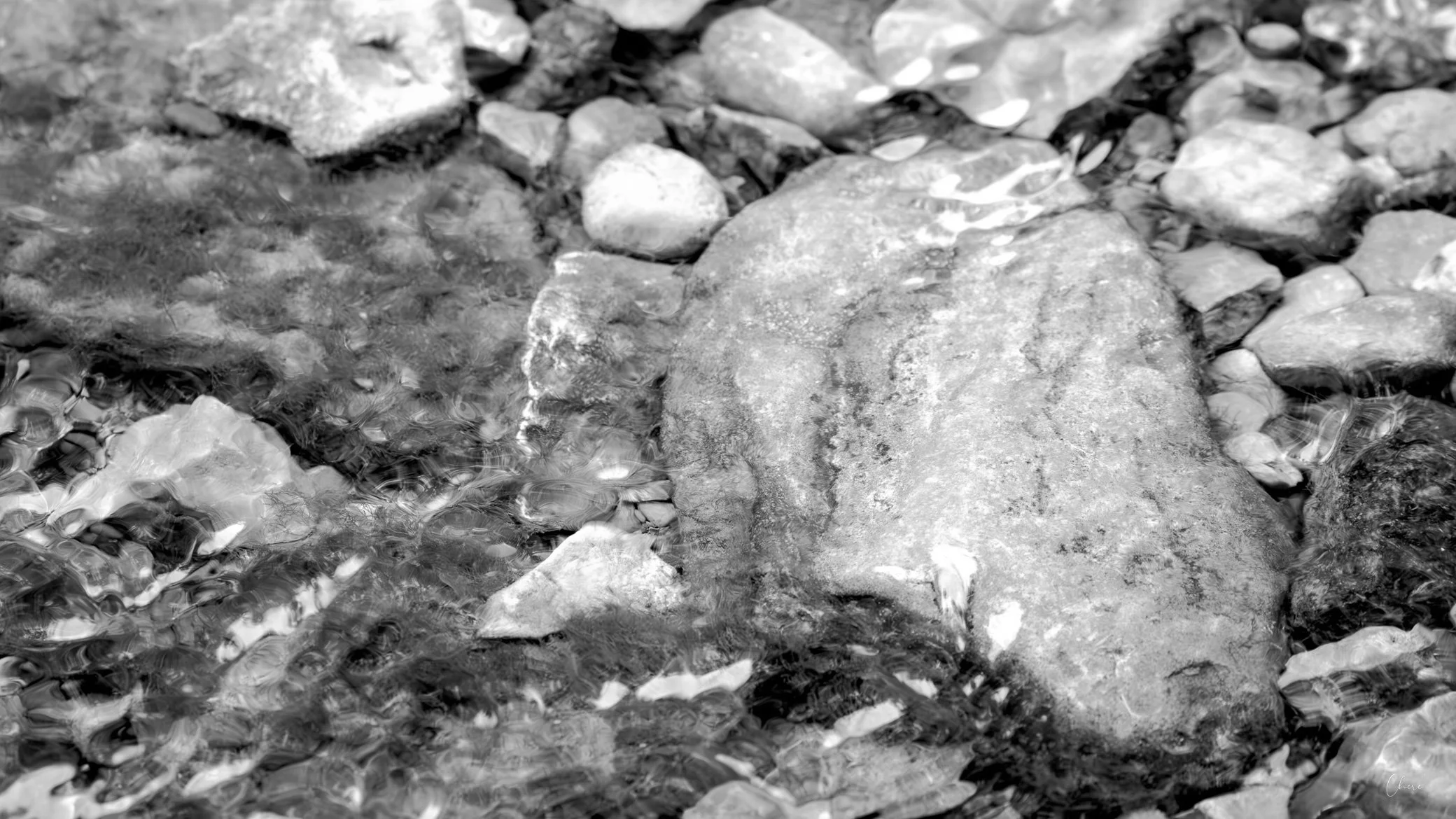 _MG_9486.jpg