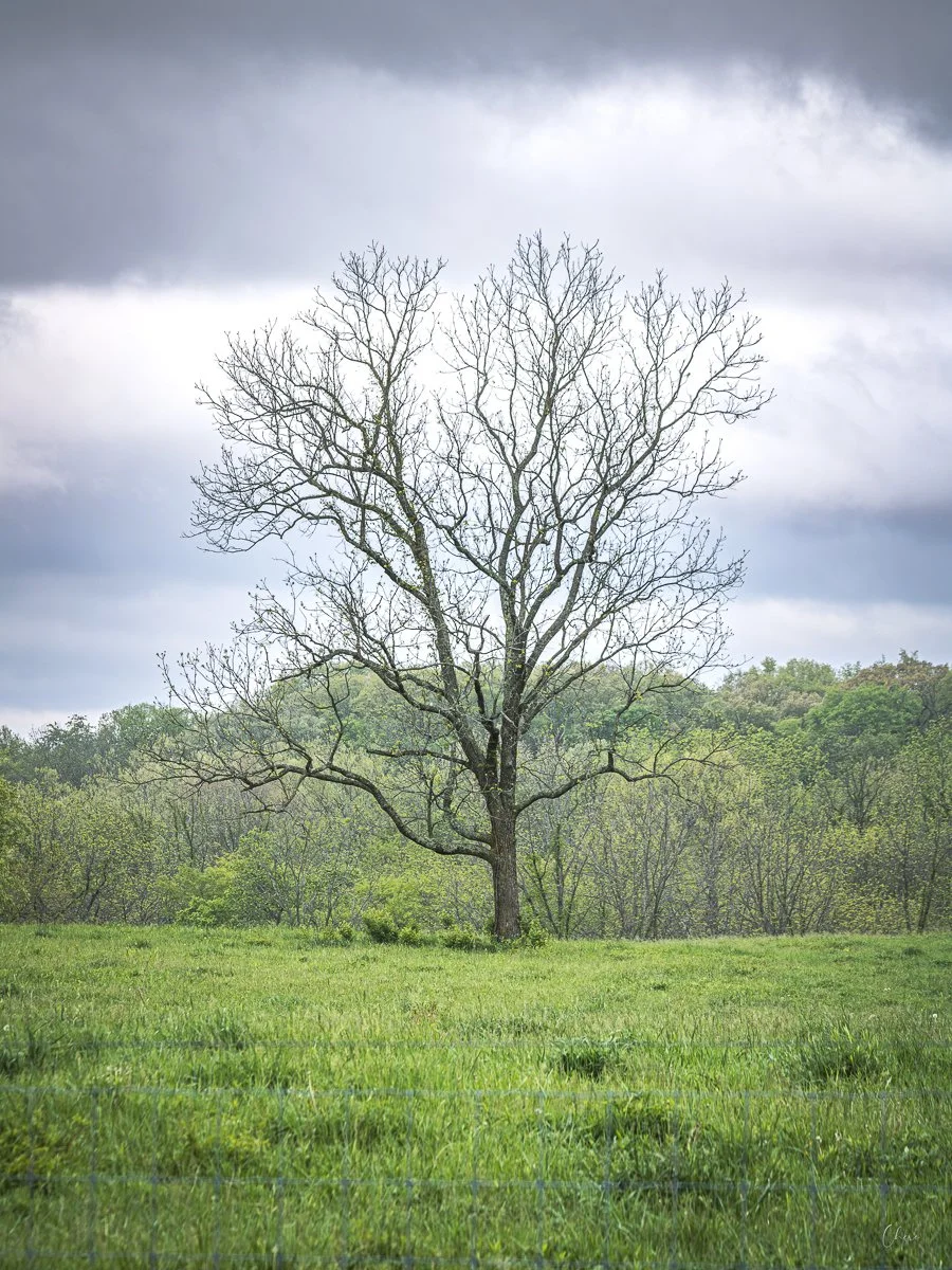 Battelle Darby Creek Metro Park - Apr 2026
