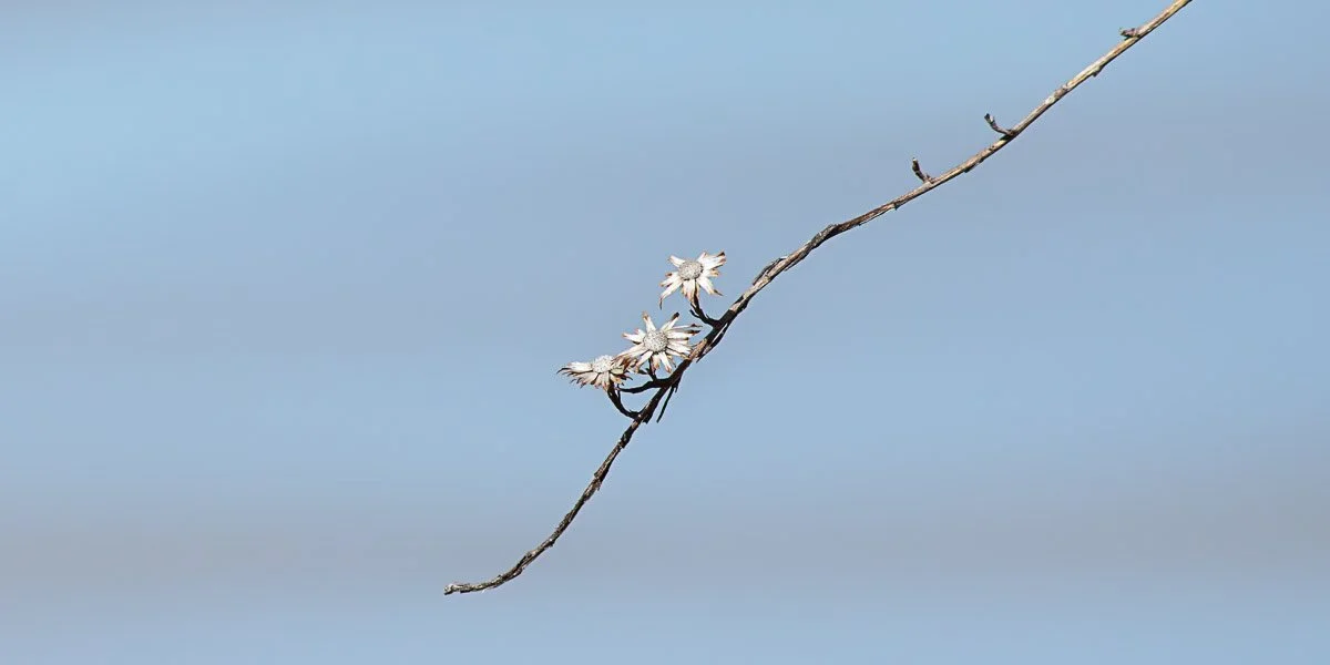 Prairie Oaks Metro Park, Darby Bend Lakes - Mar 2026