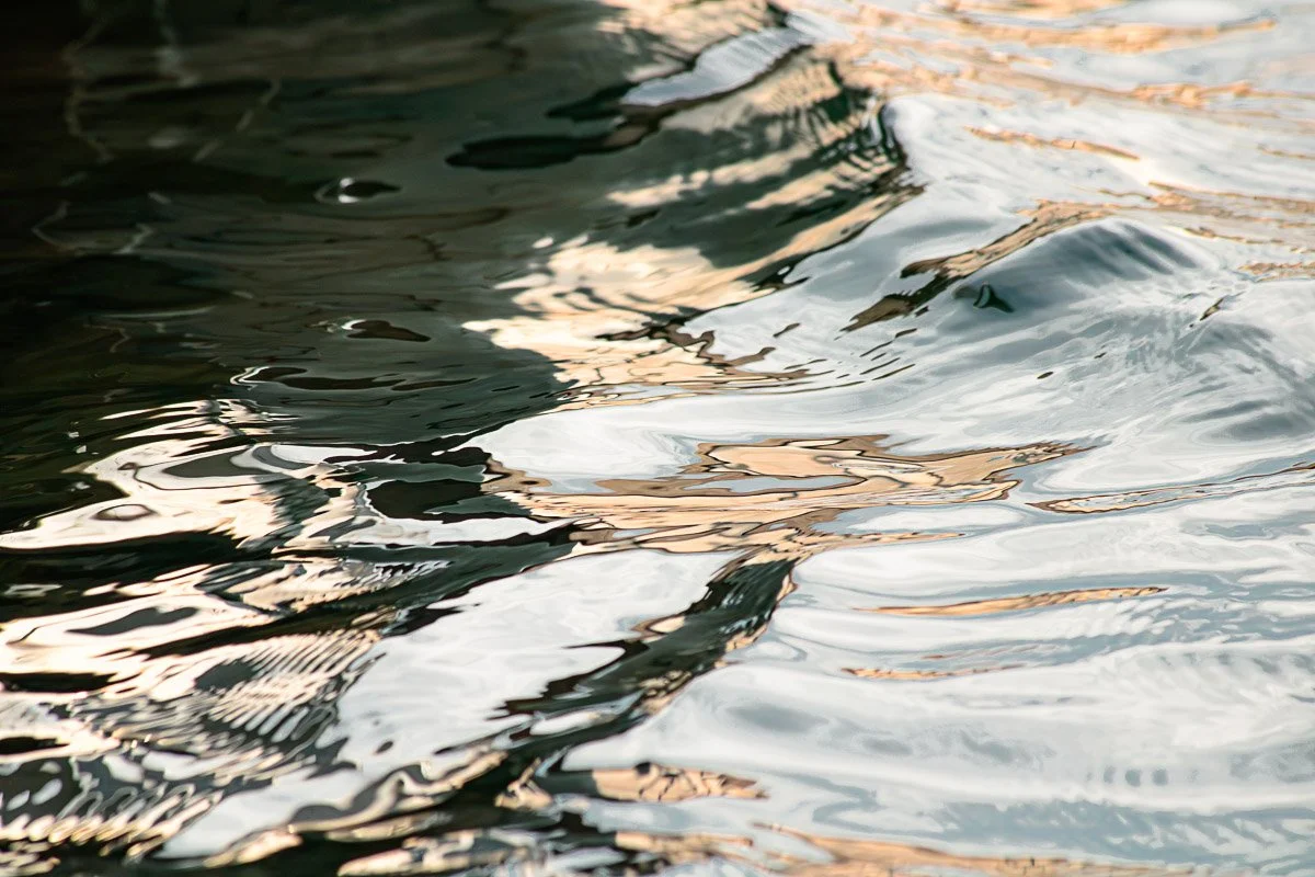 Prairie Oaks Metro Park, Darby Bend Lakes - Mar 2026
