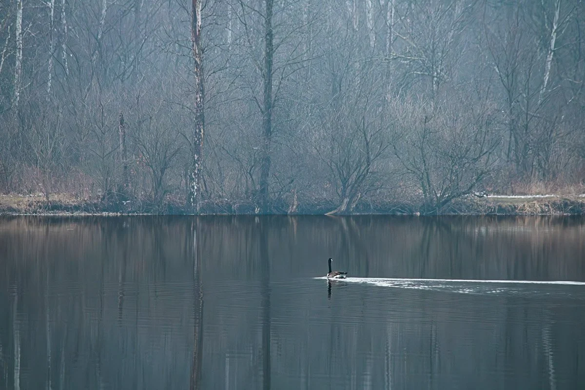 Prairie Oaks Metro Park, Darby Bend Lakes - Mar 2026