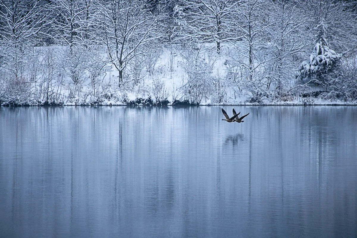 Prairie Oaks Metro Park, Darby Bend Lakes - Dec 2025