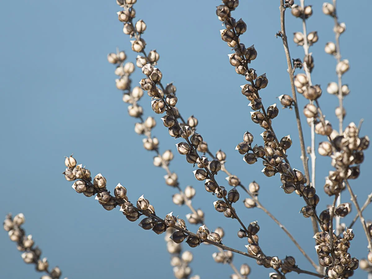 Prairie Oaks Metro Park, Darby Bend Lakes - Mar 2026