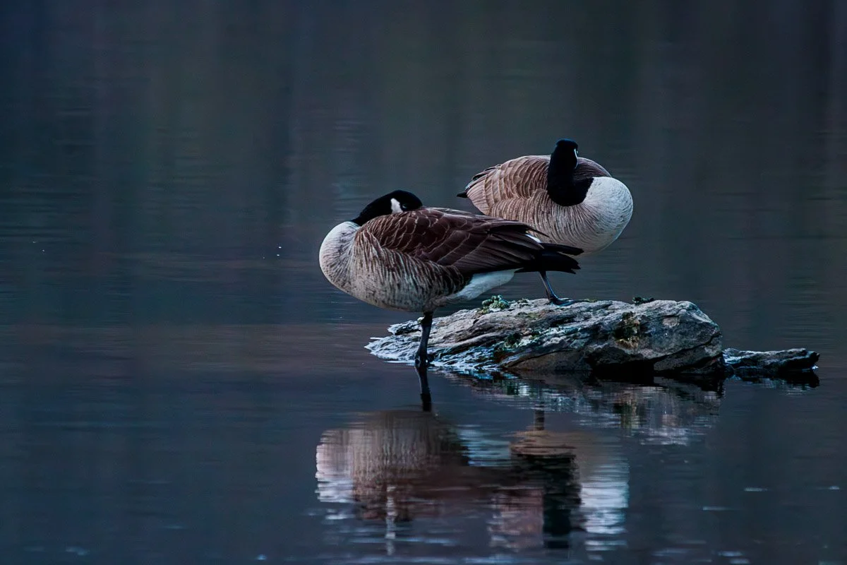 Quarry Trails Metro Park - Mar 2026